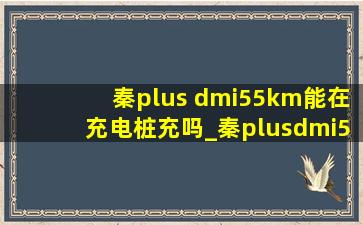 秦plus dmi55km能在充电桩充吗_秦plusdmi55km用哪种充电桩